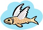 Fish Main Page