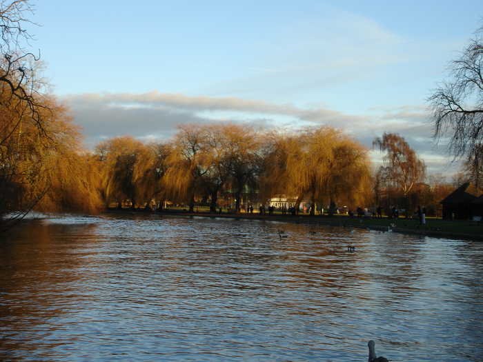 Stratford, The River In Winter
