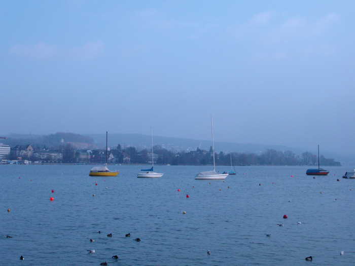 Zurich, Sailing Boats