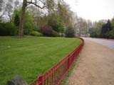 Battersea Park lawn and trees (86 kbytes) - Click to enlarge